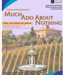 Much Ado About Nothing by AYP Senior Production Class